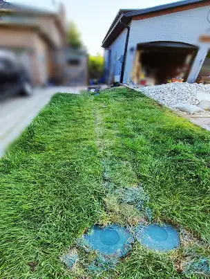 A restored lawn after a seamless French drain installation.